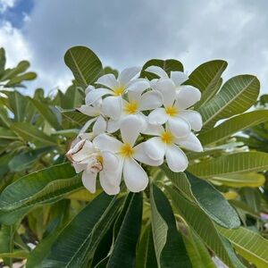 Meet your Posher, Gail